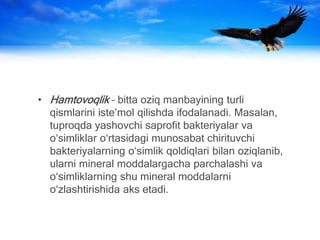 Muhitning biotik omillari va uning ..pptx
