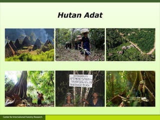 Hutan Adat
 