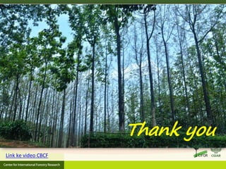 Thank you
Link ke video CBCF
 