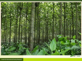  Perhutanan Sosial.pptx