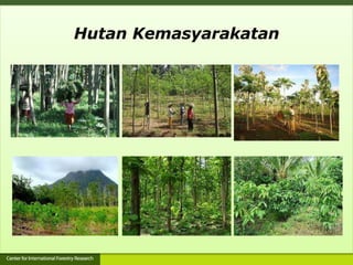 Hutan Kemasyarakatan
 