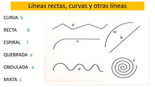 Líneas rectas, curvas y otras líneas
CURVA b
RECTA d
ESPIRAL f
QUEBRADA a
ONDULADA e
MIXTA c
 