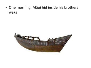• One morning, Māui hid inside his brothers
waka.
 