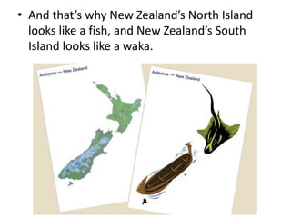 • And that’s why New Zealand’s North Island
looks like a fish, and New Zealand’s South
Island looks like a waka.
 