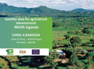 Satellite data for agricultural
advancement
MUIIS Uganda
CAROL K.KAKOOZA
Chief Of Party – MUIIS Project
Kampala , Uganda
 
