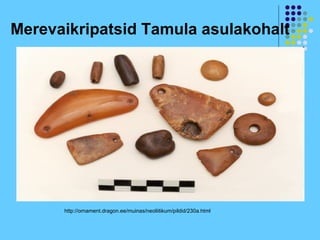 Merevaikripatsid Tamula asulakohalt




      http://ornament.dragon.ee/muinas/neoliitikum/pildid/230a.html
 