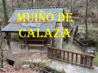 MUIÑO DE
CALAZA
 