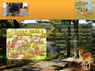 Caza y Pesca Muisca
Los muiscas obtenían y consumían
carnes de curi, conejo, venado, peces y
aves. La carne de venado era
consumida únicamente por la
aristocracia
 