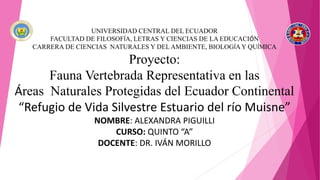 UNIVERSIDAD CENTRAL DEL ECUADOR
FACULTAD DE FILOSOFÍA, LETRAS Y CIENCIAS DE LA EDUCACIÓN
CARRERA DE CIENCIAS NATURALES Y DEL AMBIENTE, BIOLOGÍA Y QUÍMICA
Proyecto:
Fauna Vertebrada Representativa en las
Áreas Naturales Protegidas del Ecuador Continental
“Refugio de Vida Silvestre Estuario del río Muisne”
NOMBRE: ALEXANDRA PIGUILLI
CURSO: QUINTO “A”
DOCENTE: DR. IVÁN MORILLO
 
