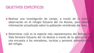 OBJETIVOS ESPECÍFICOS
 Realizar una investigación de campo, a través de la visita y
observación en el refugio Estuario del río Muisne, para obtener
información actualizada sobre la población vertebrada del área.
 Determinar cuál es la especie más representativa del Refugio de
Vida Silvestre Estuario del río Muisne a través de la aplicación de
una encuesta a los moradores, turistas y personal administrativo
del refugio.
 