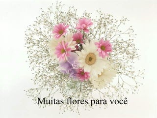 Muitas flores para você 