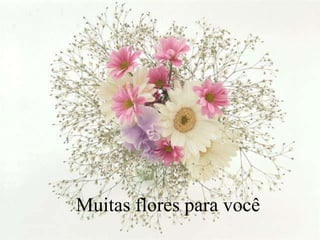 Muitas flores para você
 
