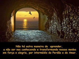 Não há outra maneira de aprender,
a não ser nos conhecendo e transformando nossos medos
em força e alegria, por intermédio do Perdão e do Amor.
 