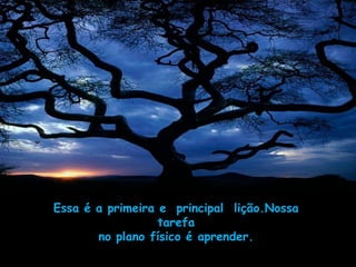 Essa é a primeira e principal lição.Nossa
                  tarefa
       no plano físico é aprender.
 