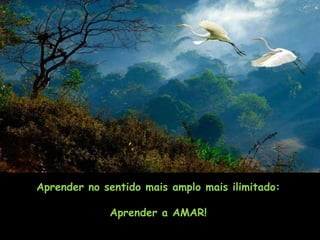 Aprender no sentido mais amplo mais ilimitado:

             Aprender a AMAR!
 