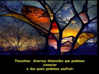 Possuímos diversas dimensões que podemos
                 vivenciar
       e das quais podemos usufruir.
 