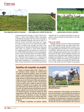 Capa
44 DBO março 2018
encontram dois tipos de praga. A “mole”, fácil de con-
trolar, e a “dura”, cujo combate é difícil, seja porque
os herbicidas necessários são mais caros ou porque a
forma de aplicação demanda mais mão de obra. É o
caso da “lixeira” (Curatella americana), da “cagai-
ta” (­Eugenia dysenterica) e do “araticum-do-cerrado”
(Annona crassiflora), por exemplo, nas quais o her-
bicida precisa ser aplicado diretamente no caule para
surtir efeito. Ao levantar os custos dessa empreita-
da, Segantini descobriu que gastava, em valores atu-
ais, até R$ 400/ha para limpar os pastos praguejados.
Como o broto do cerrado insistia em sempre reapare-
cer, a operação, além de onerosa, se mostrava infrutí-
fera. “Reformar estava ficando caro e o efeito durava
pouco, porque a terra continuava sem fertilidade e o
pasto sujava rapidamente”. A insatisfação levou o pro-
dutor a tomar a primeira de uma série de decisões que
mudariam de vez o patamar da fazenda nos anos se-
guintes: cultivar soja para reformar pastos e diversifi-
car o negócio.
Soja como aliada
Rodrigo Segantini assumiu as rédeas da proprieda-
de em 2007, quando seu pai, que segue como conse-
lheiro e entusiasta da fazenda, decidiu se dedicar a ou-
tros empreendimentos da família, nos ramos industrial
e imobiliário. Basta dar uma volta com ele pelas la-
vouras e pastagens para perceber que é mais afeito aos
bois do que aos grãos. Isso não impediu, entretanto, de
enxergar como a agricultura podia ajudar na busca por
pastagens mais duradouras. Essa constatação surgiu de
um raciocínio simples, que muitas vezes o produtor ig-
nora. “Pensei: mesmo se eu perder R$ 500 por hecta-
re com a soja, ainda será mais vantajoso do que gastar
Área degradada repleta de invasoras...   ...abre espaço para o plantio da soja, que...     ...garante pasto novo para a pecuária.
Membro do Qualitas desde 2.000, a TopGen é um
dos destaques desse programa de melhoramento.
A análise da tendência genética, índice que permite
avaliar o impacto da seleção em determinada caracte-
rística, revela a evolução que o rebanho alcançou ao
longo dos anos. O peso à desmama dos machos aos 7
meses, que era de 191,9 kg em 2006, subiu gradativa-
mente até chegar a 208,5 kg, em 2017. Apresentaram
15,3 kg a mais do que a média da safra de contem-
porâneos do Qualitas do ano passado. Vale ressaltar
que esses pesos são obtidos após jejum de 12 horas
no curral. Já o ganho de peso pós-desmama mais que
dobrou, saltando de 61,5 para 130,14 kg neste mes-
mo intervalo de tempo. Os machos nascidos em 2016
apresentaram 338,7 Kg aos 450 dias, 45 kg acima da
média de seus companheiros de safra do Qualitas.
Esse desempenho permite que os animais sejam aba-
tidos com até 20 meses de idade, uma das metas do
programa.
A vantagem comparativa da genética TopGen
fotosRenatoVillela
Touro Jaguar, aprovado no teste de
Eficiência Alimentar.
pode ser sintetizada no índice Qualitas, que tem 60% de
seu peso relacionado a características de produção de
carne a campo (como ganho pós-desmama e musculo-
sidade) e 40% em características de importância para
a produção de matrizes (peso à desmama e perímetro
escrotal). Na safra 2015, o índice Qualitas da TopGen foi
de 4,64 ante 3,72 dos contemporâneos, 25% acima da
Genética dá respaldo ao projeto
 