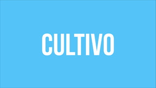 cultivo 
 