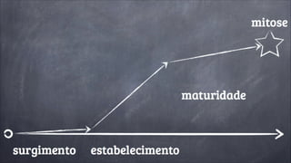 Laços de reciprocidade e confiança: facilitam e encorajam a 
cooperação visando o benefício mútuo. 
 