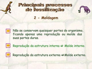 Principais processos  de fossilização 2 - Moldagem   Não se conservam quaisquer partes do organismo,  ficando  apenas  uma  reprodução  ou  molde  das  suas partes duras. Reprodução da estrutura interna    Molde interno.   Reprodução da estrutura externa   Molde externo.   