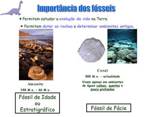 Importância dos fósseis    Permitem estudar a  evolução da vida  na Terra    Permitem  datar as rochas  e  determinar ambientes antigos . Fóssil de Idade ou Estratigráfico Fóssil de Fácie Coral 500 M.a. – actualidade Vivem apenas em ambientes de águas  calmas ,  quentes  e  pouco profundas Amonite 248 M.a. – 66 M.a. 