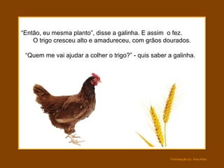 “ Então, eu mesma planto”, disse a galinha. E assim  o fez.  O trigo cresceu alto e amadureceu, com grãos dourados.  “Quem me vai ajudar a colher o trigo?” - quis saber a galinha. 
