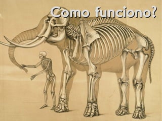 Como funciono?Como funciono?
 