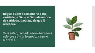 Regue-o com o seu amor e a sua
caridade, e Deus, o Deus de amor e
de caridade, dará àquele que já
recebera.
Verá então, coroados de êxito os seus
esforços e um grão produzir cem e
outro mil
 