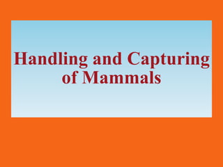 Handling and Capturing
of Mammals
 