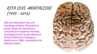 RITA LEVI -MONTALCINI
(1909 - 2012)
Rita Levi-Montalcini fue una
neuróloga italiana. Descubrió el
primer factor de crecimiento
conocido en el sistema nervioso,
investigación por la que obtuvo el
Premio Nobel de Fisiología y
Medicina en 1986, compartido con
Stanley Cohen.​
 