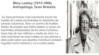 Mary Leakey (1913-1996)
Antropóloga, Gran Bretaña.
Su descubrimiento más importante fueron las
huellas de Laetoli encontradas en depósitos de
cenizas volcánicas. Eran un camino de huellas
fósiles de pisadas que había dejado un grupo de
homínidos,antepasados de los seres humanos,
hace más de tres millones y medio de años. Lo
más importante de esas huellas es que gracias a
ellas pudo saber que aquellos individuos andaban
erguidos como nosotros y no a cuatro patas.
 