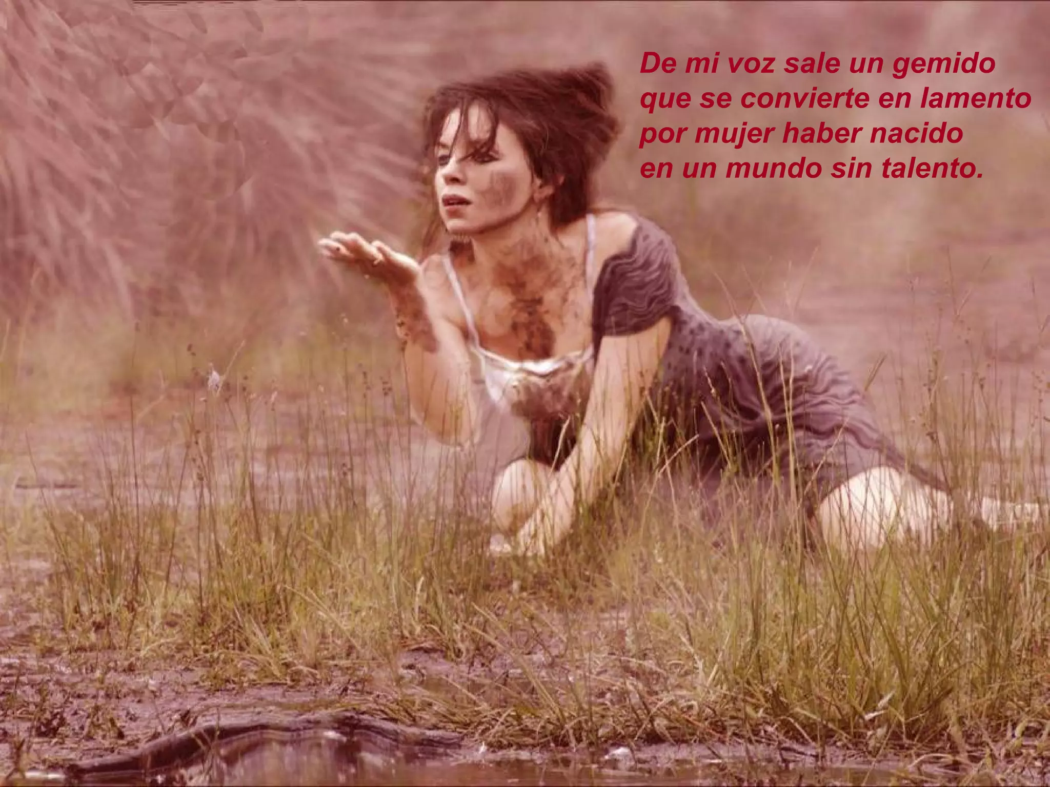 De mi voz sale un gemido
que se convierte en lamento
por mujer haber nacido
en un mundo sin talento.