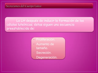 La LH después de inducir la formación de las
células luteínicas; éstas siguen una secuencia
preestablecida de:
• Proliferación.
• Aumento de
tamaño.
• Secreción.
• Degeneración.
 