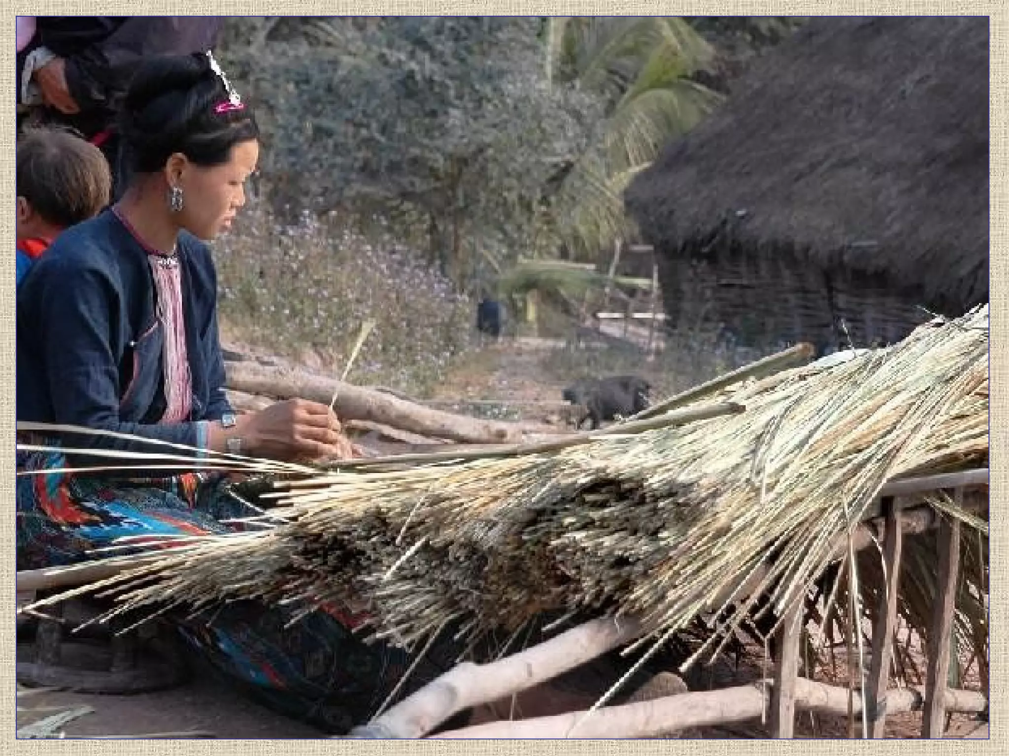 Medallas De Oro Madrid Odf