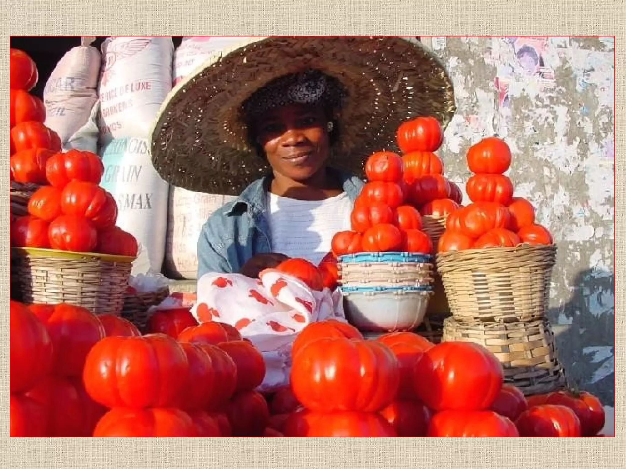 Medallas De Oro Madrid Odf