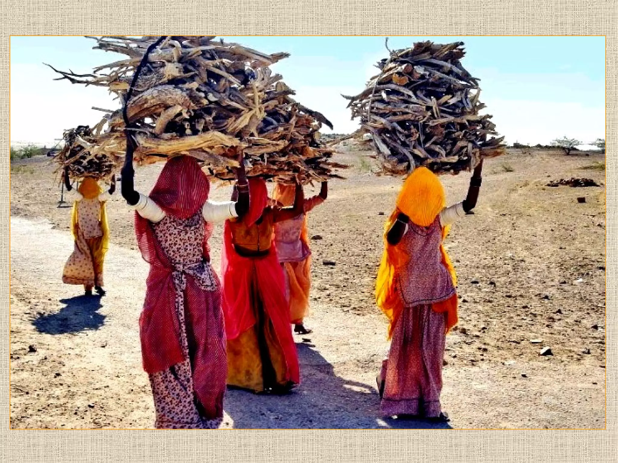 Medallas De Oro Madrid Odf