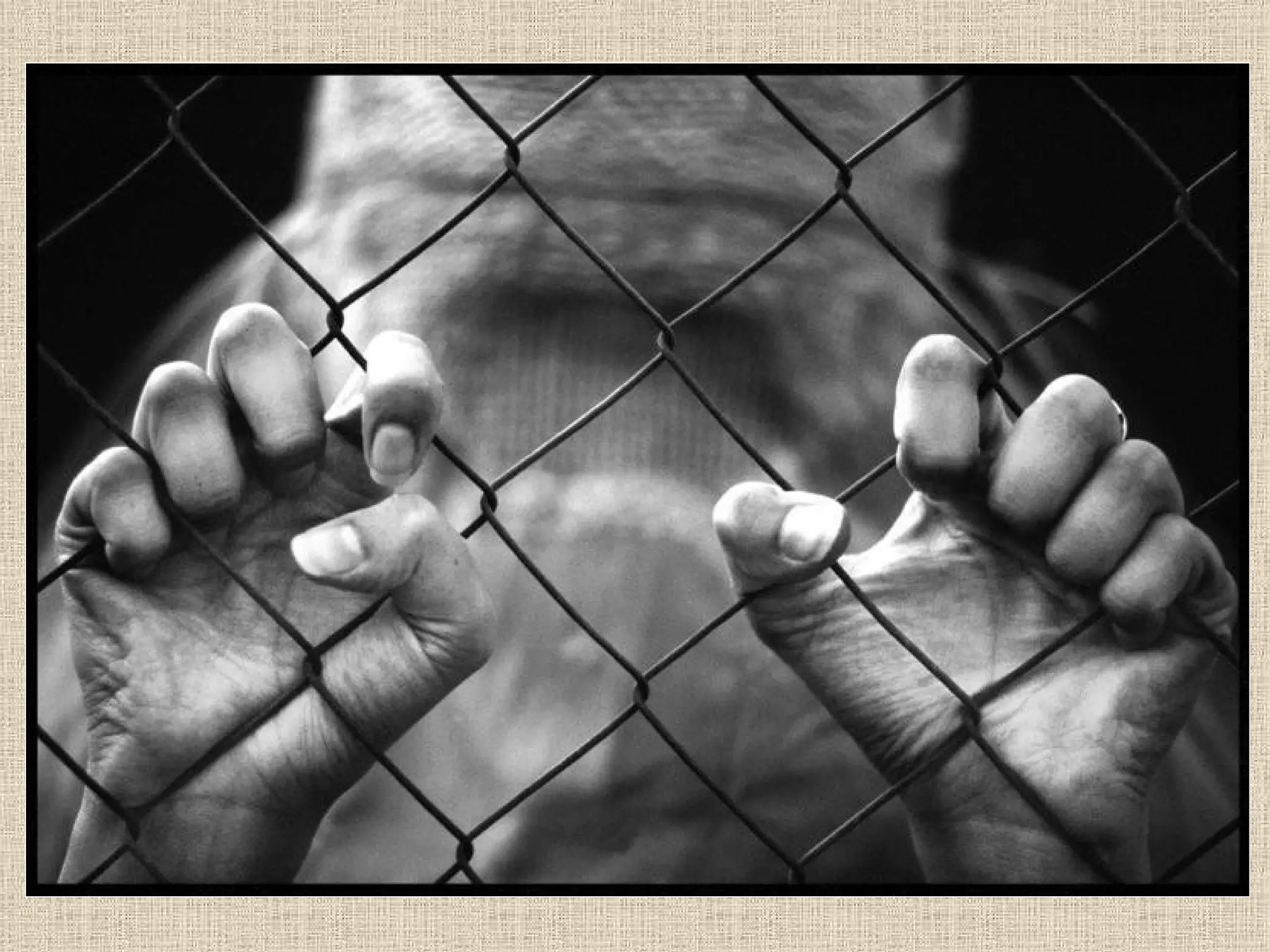 Medallas De Oro Madrid Odf