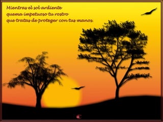 Mientras el sol ardiente
quema impetuoso tu rostro
que tratas de proteger con tus manos.
 