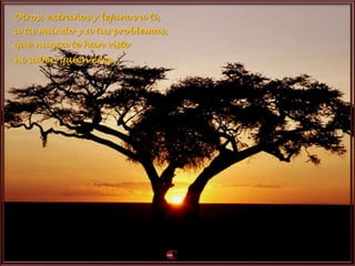 Otros, extraños y lejanos a ti,
a tu mundo y a tus problemas,
que nunca te han visto
ni saben quién eres...
 