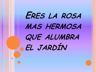 Eres la rosa mas hermosa que alumbra el jardín 