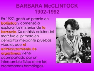 BARBARA McCLINTOCK 1902-1992 ,[object Object]