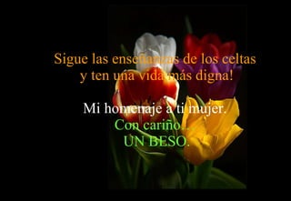Sigue las enseñanzas de los celtas  y ten una vida más digna! Mi homenaje a ti mujer. Con cariño…  UN BESO. 