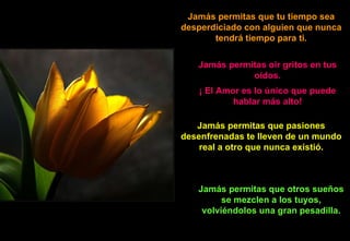 Jamás permitas que tu tiempo sea desperdiciado con alguien que nunca tendrá tiempo para ti. Jamás permitas oir gritos en tus oídos. ¡ El Amor es lo único que puede hablar más alto! Jamás permitas que pasiones desenfrenadas te lleven de un mundo real a otro que nunca existió. Jamás permitas que otros sueños se mezclen a los tuyos, volviéndolos una gran pesadilla. 