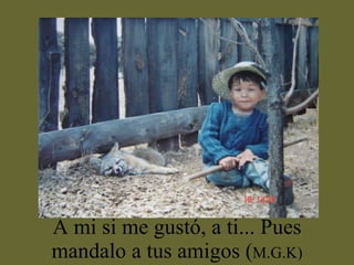 A mi si me gustó, a ti... Pues mandalo a tus amigos ( M.G.K) 