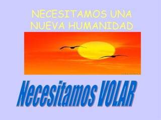 NECESITAMOS UNA NUEVA HUMANIDAD Necesitamos VOLAR 
