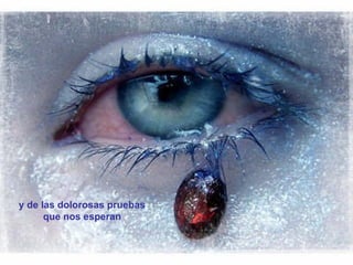 y de las dolorosas pruebas  que nos esperan   