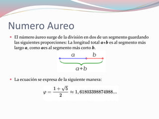 Numero Aureo
 El número áureo surge de la división en dos de un segmento guardando
las siguientes proporciones: La longitud total a+b es al segmento más
largo a, como aes al segmento más corto b.
 La ecuación se expresa de la siguiente manera:
 
