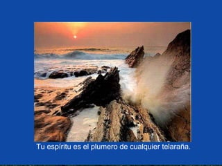 Tu espíritu es el plumero de cualquier telaraña.
 
