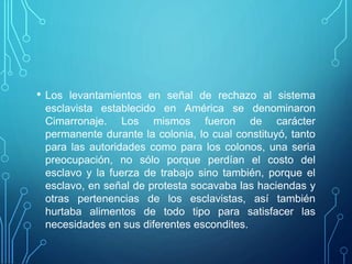 • Los levantamientos en señal de rechazo al sistema
esclavista establecido en América se denominaron
Cimarronaje. Los mismos fueron de carácter
permanente durante la colonia, lo cual constituyó, tanto
para las autoridades como para los colonos, una seria
preocupación, no sólo porque perdían el costo del
esclavo y la fuerza de trabajo sino también, porque el
esclavo, en señal de protesta socavaba las haciendas y
otras pertenencias de los esclavistas, así también
hurtaba alimentos de todo tipo para satisfacer las
necesidades en sus diferentes escondites.
 