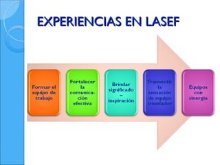 EXPERIENCIAS EN LASEF
 